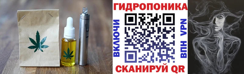 МЕГА зеркало  магазин продажи наркотиков  Курильск  Cannafood конопля 