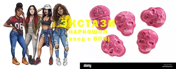 ECSTASY Новозыбков