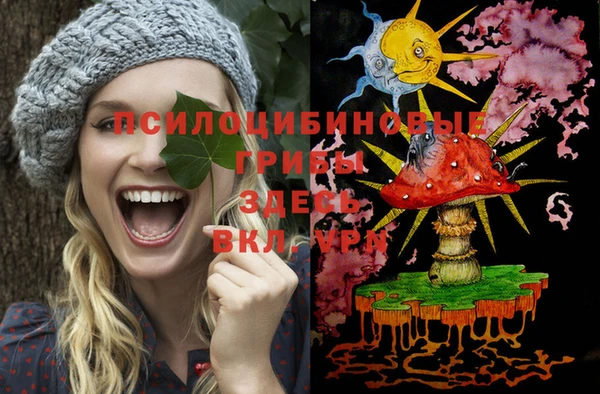 ECSTASY Новозыбков