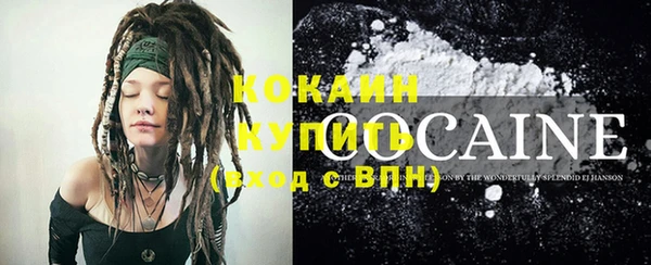 ECSTASY Новозыбков