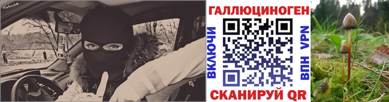 что такое наркотик  Курильск  Галлюциногенные грибы Psilocybine cubensis 